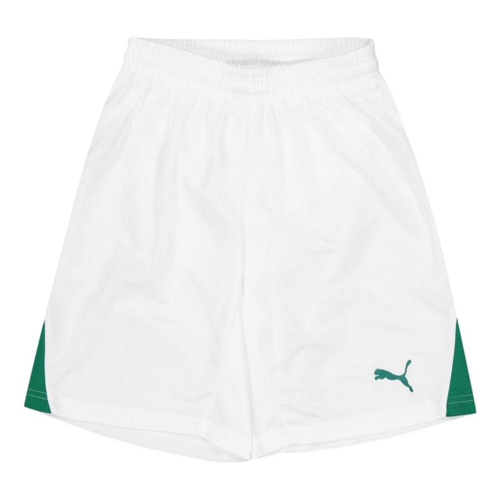 Puma Childrens/Kids Team Shorts / White
